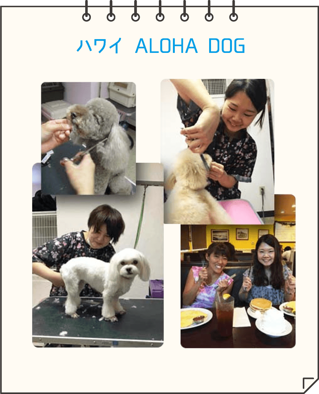 ハワイ ALOHA DOG